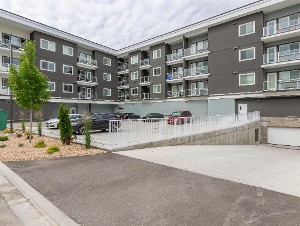 Rear Parking Area